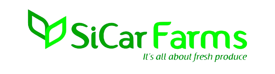 Gestión Estrategica